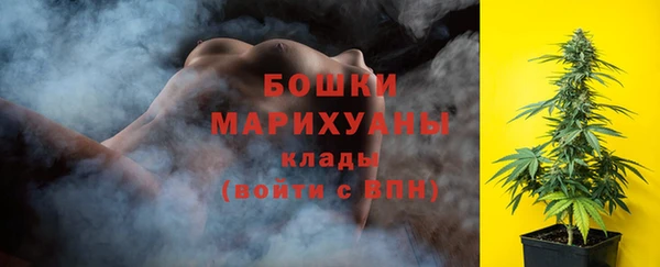 шишки Снежногорск