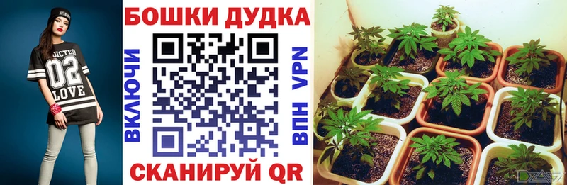 Конопля Amnesia  гидра ссылка  Мончегорск 